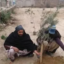 Green Seekers Activity